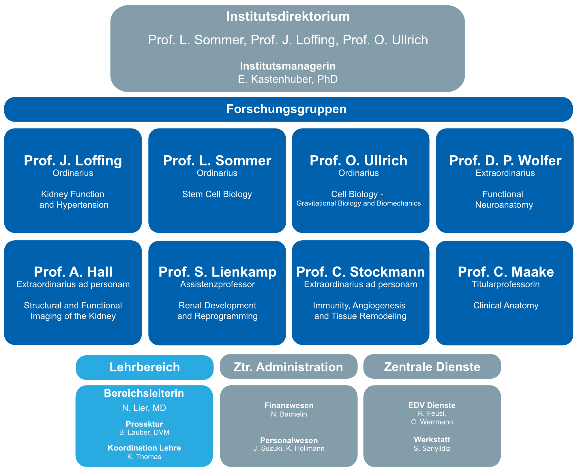 Organigramm des Anatomischen Instituts