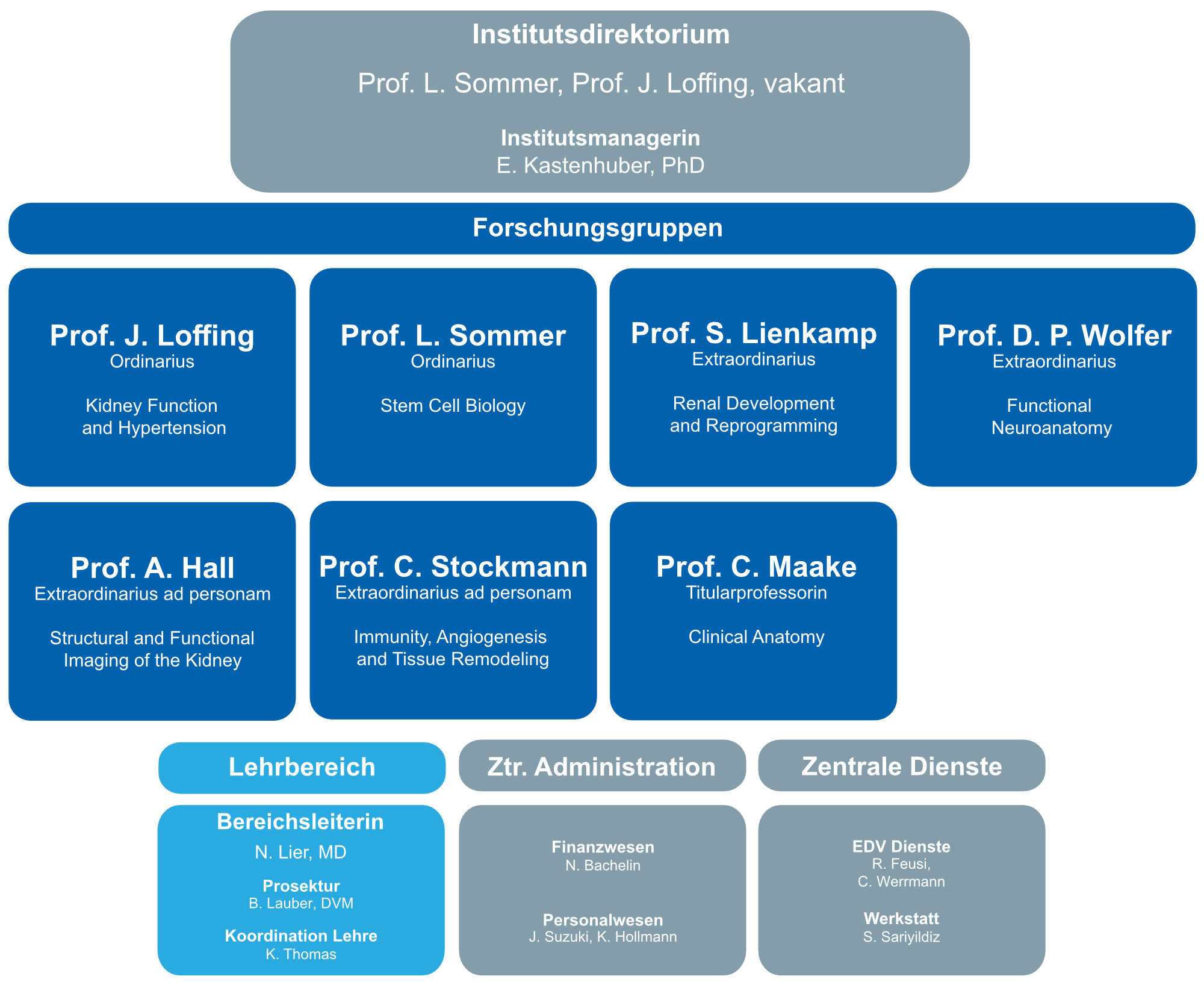 Organigramm des Anatomischen Instituts