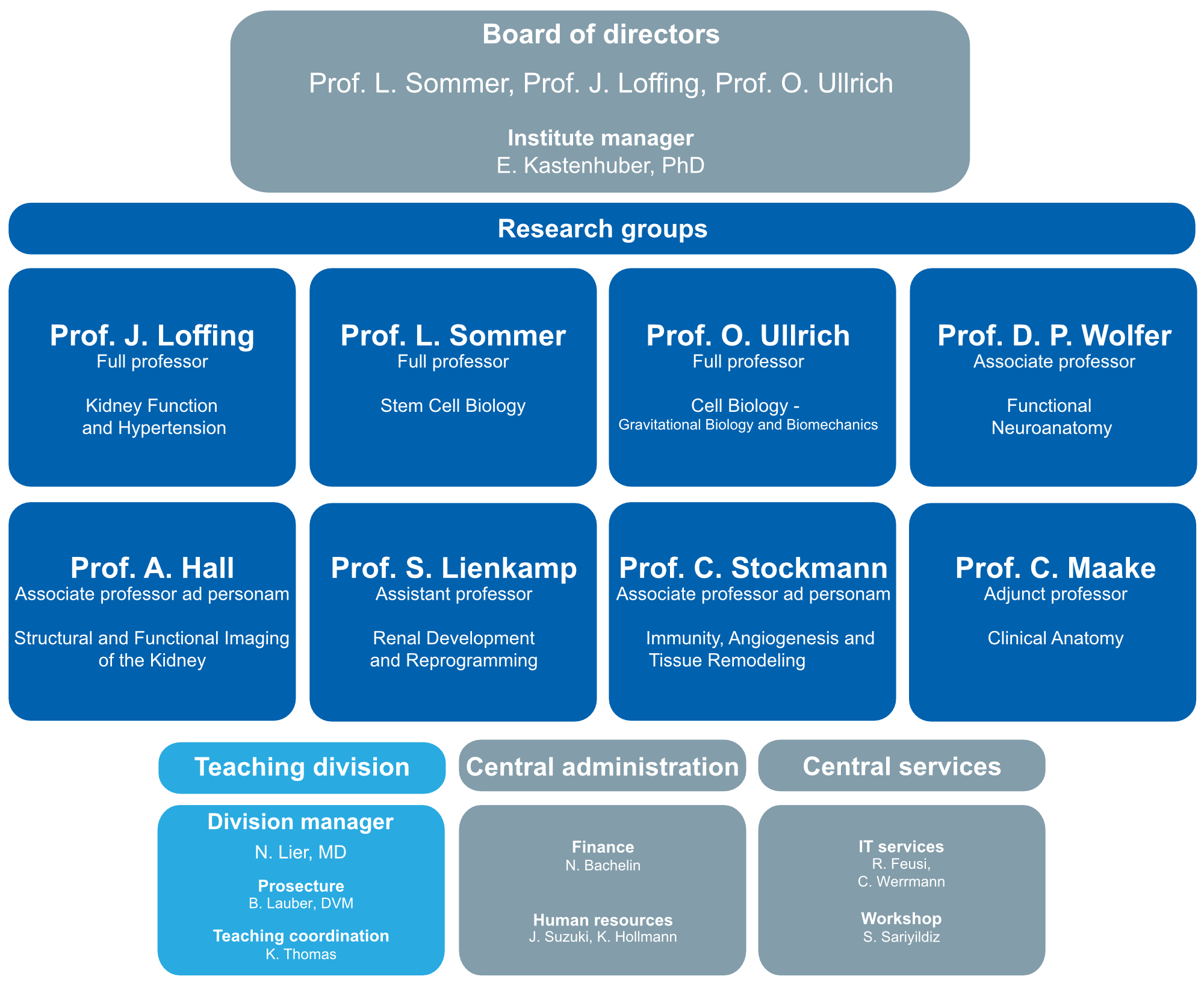 Organigram of the Institute of Anatomy