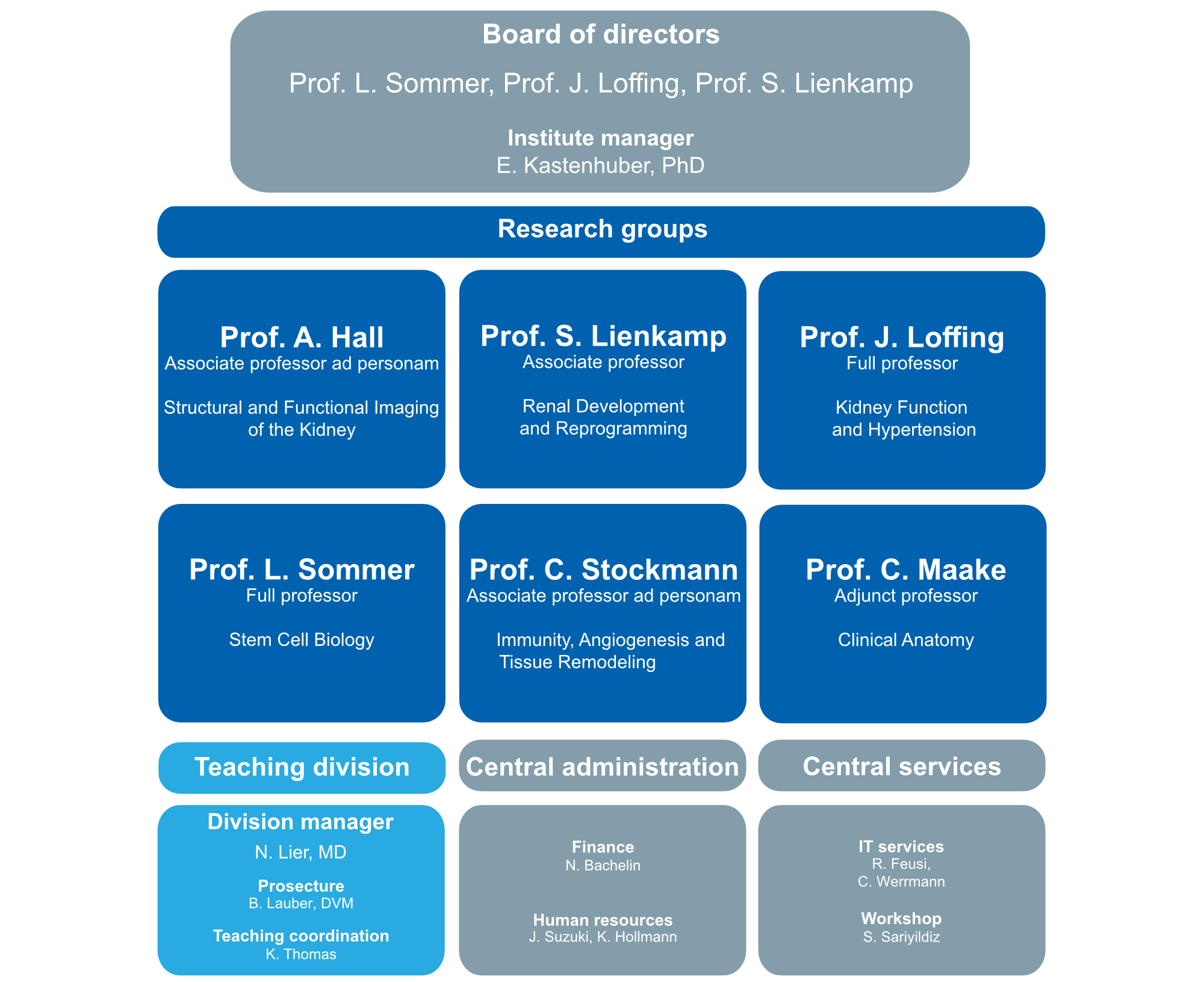 Organigram of the Institute of Anatomy